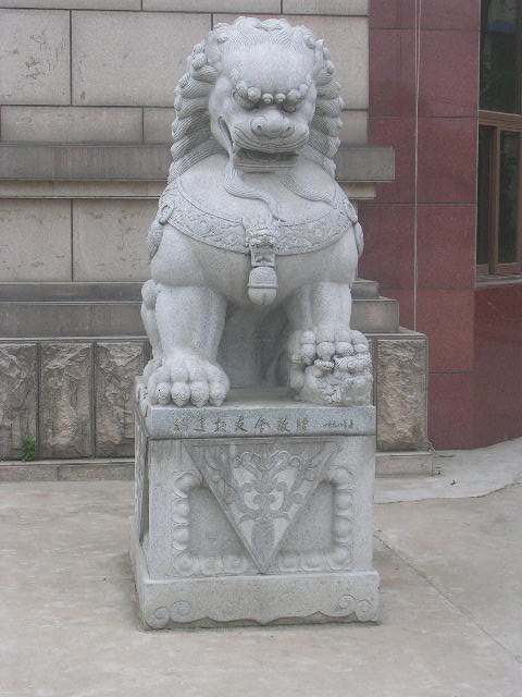 USTC Lion